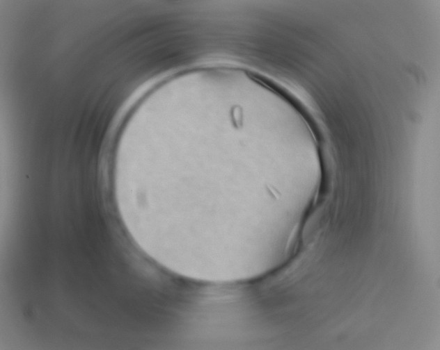 X0000113591008200910161839