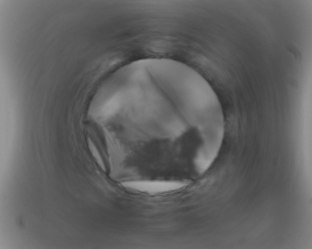 X0000113591009200910161838