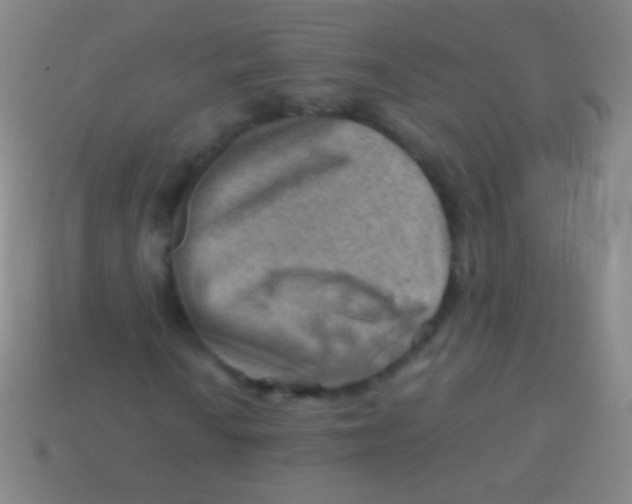 X0000113591010200910161838
