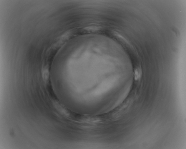 X0000113591011200910161838