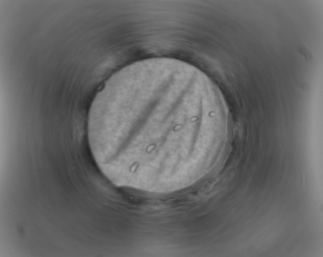 X0000113591012200910161838