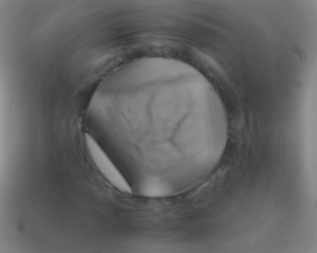 X0000113591013200910161838