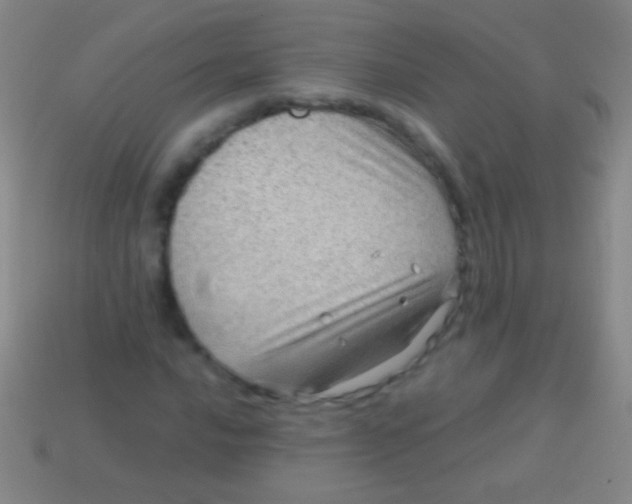 X0000113591016200910161838