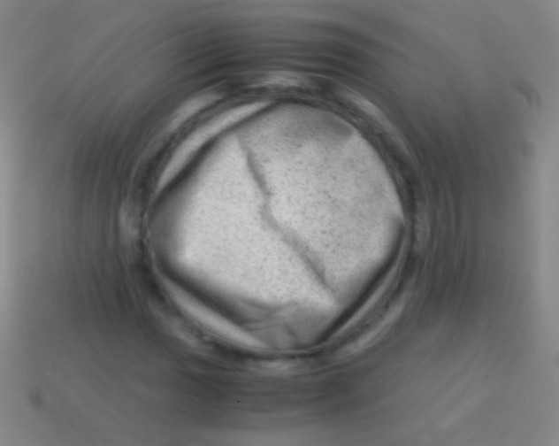 X0000113591017200910161838