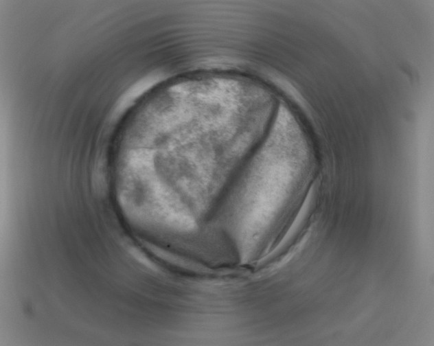 X0000113591018200910161838