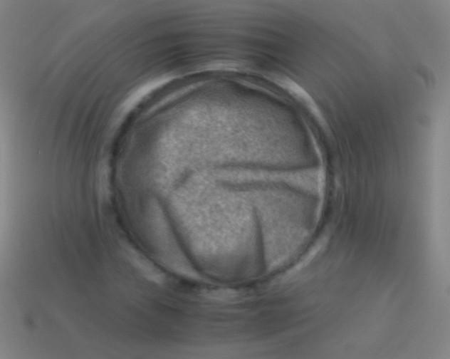X0000113591019200910161838