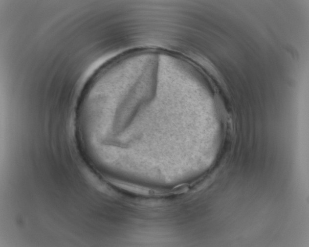 X0000113591020200910161838