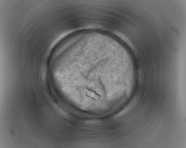 X0000113591021200910161838