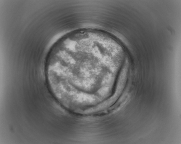 X0000113591022200910161838