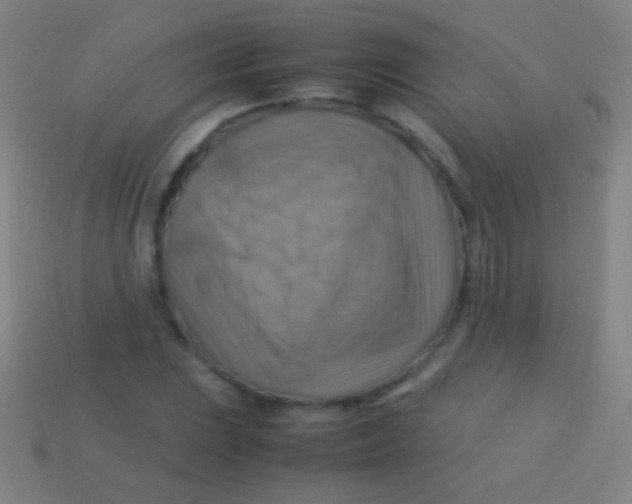 X0000113591023200910161838