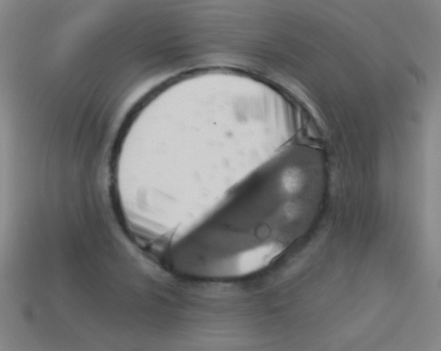 X0000113591024200910161838