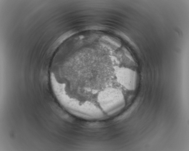 X0000113591025200910161838