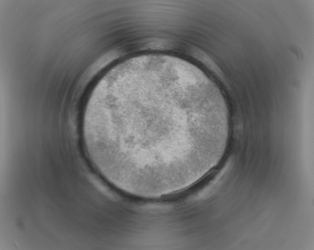 X0000113591026200910161838