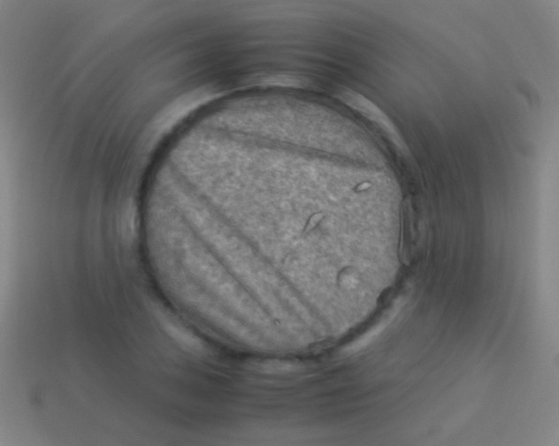 X0000113591027200910161838