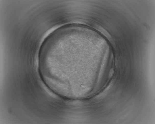 X0000113591028200910161838