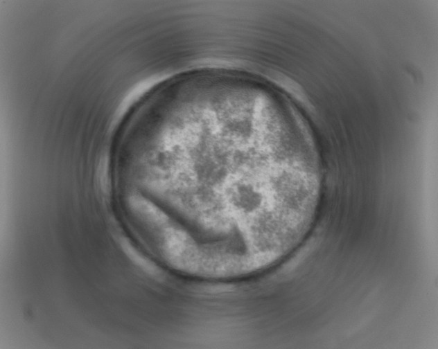 X0000113591030200910161838