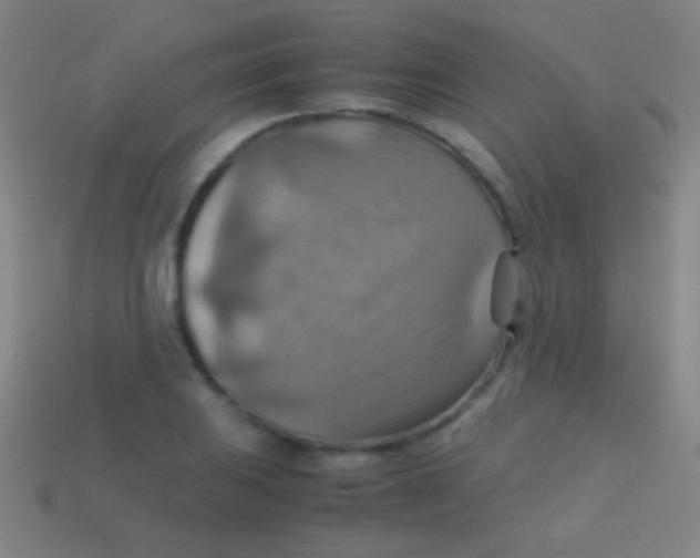 X0000113591031200910161838
