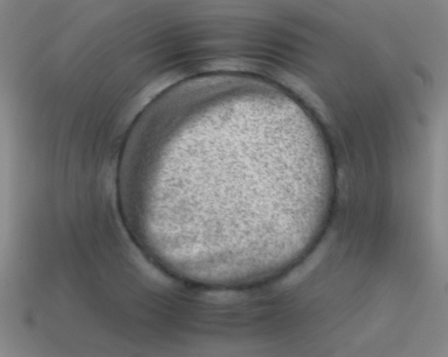 X0000113591033200910161838