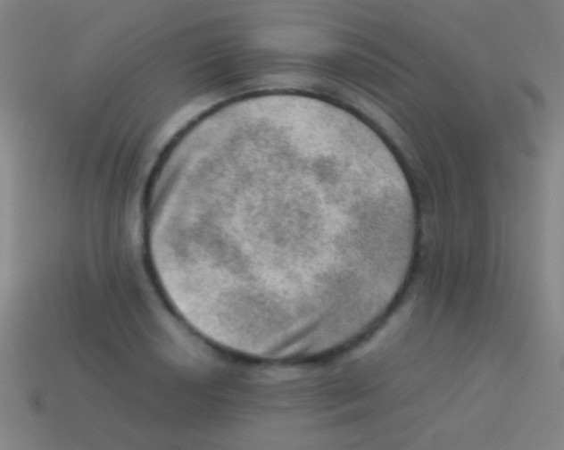X0000113591034200910161838