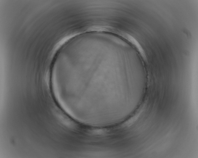 X0000113591035200910161838