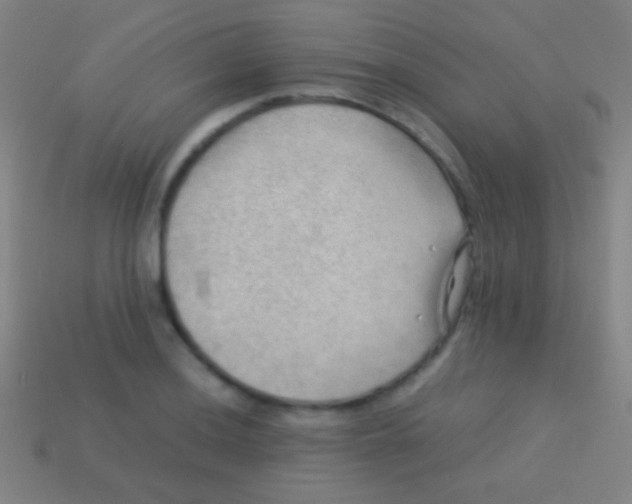 X0000113591036200910161838