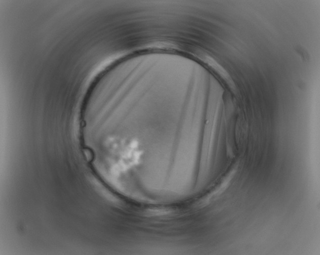 X0000113591037200910161838