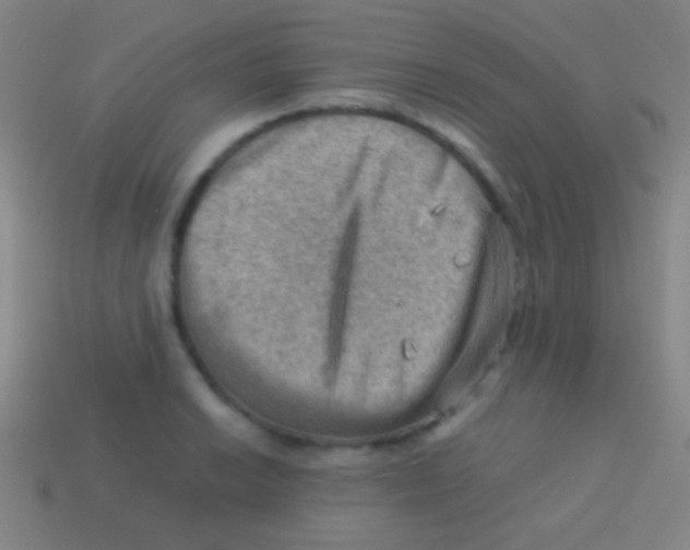 X0000113591038200910161838