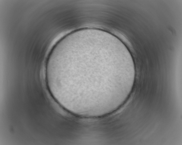 X0000113591040200910161838