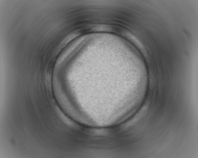 X0000113591041200910161838