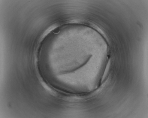 X0000113591042200910161838