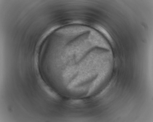 X0000113591043200910161838