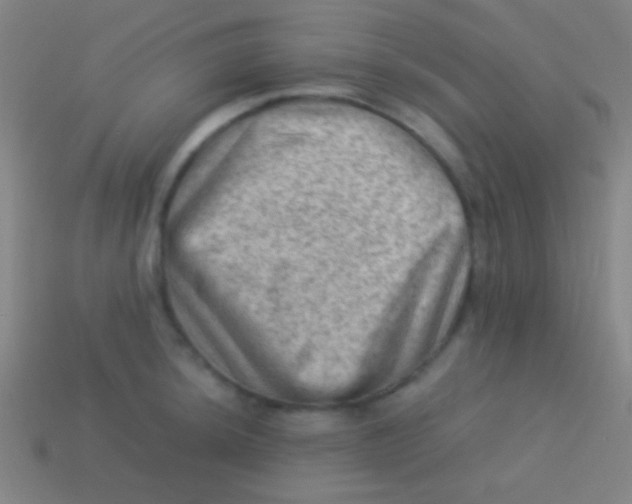 X0000113591044200910161838
