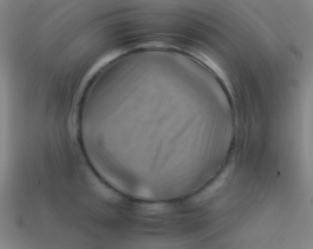 X0000113591045200910161839