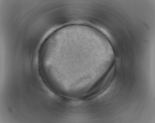 X0000113591046200910161839