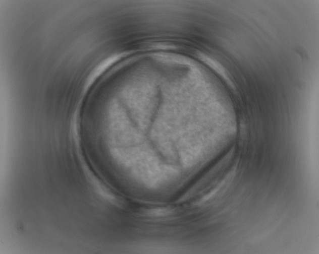 X0000113591047200910161839