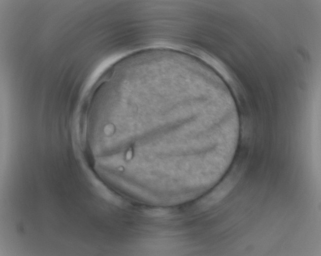 X0000113591048200910161839