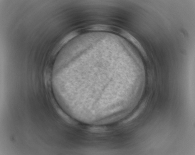 X0000113591049200910161839
