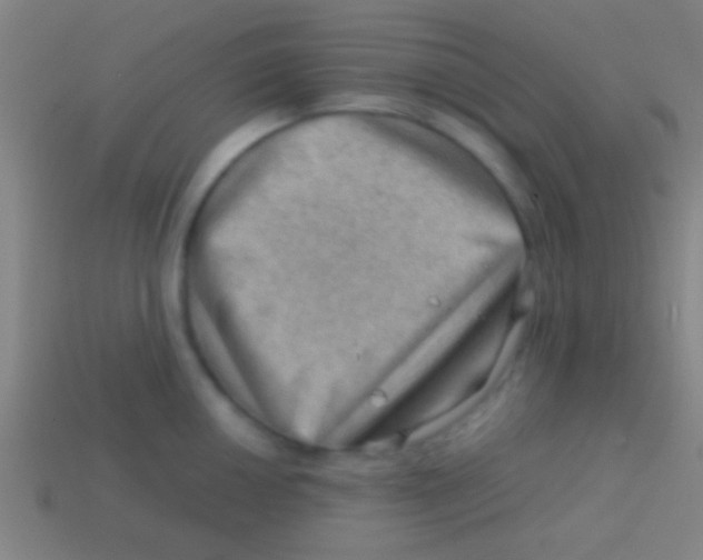 X0000113591050200910161839