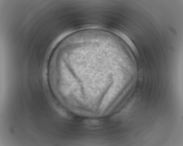 X0000113591051200910161839