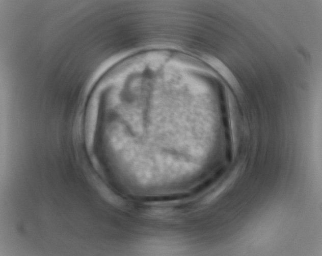 X0000113591052200910161839