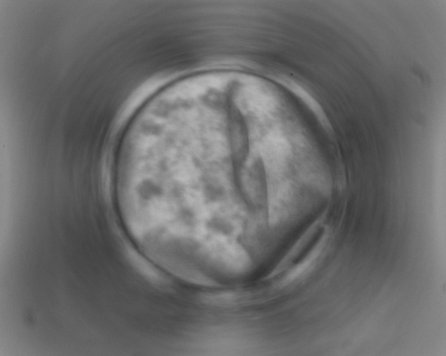 X0000113591054200910161839