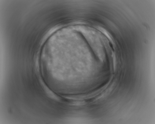 X0000113591055200910161839
