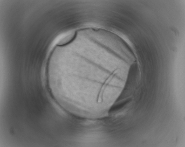 X0000113591056200910161839