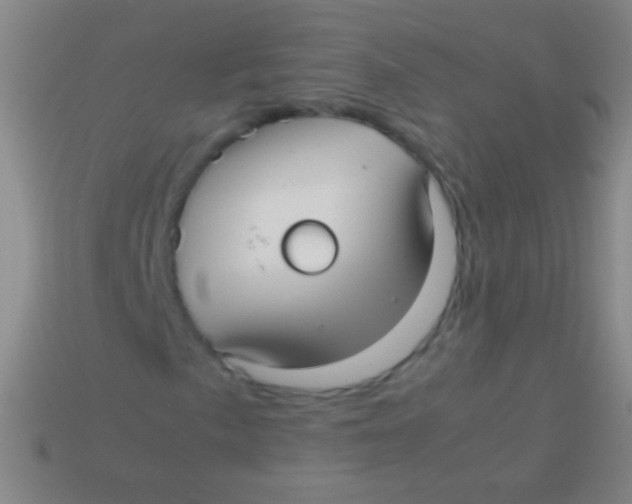 X0000113591057200910161838
