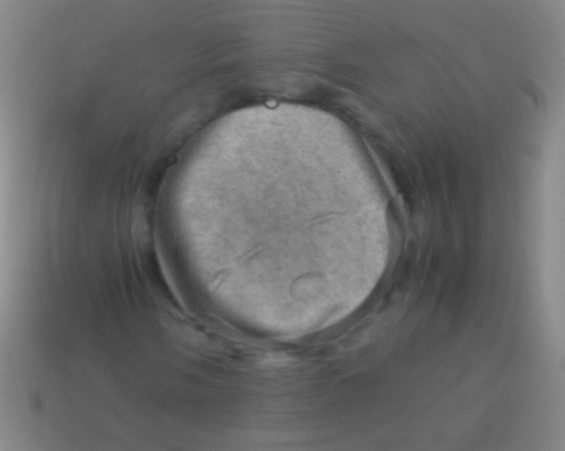 X0000113591058200910161838