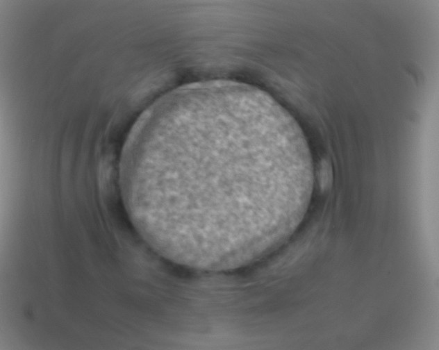 X0000113591059200910161838
