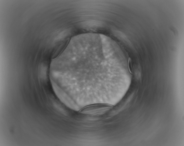 X0000113591060200910161838