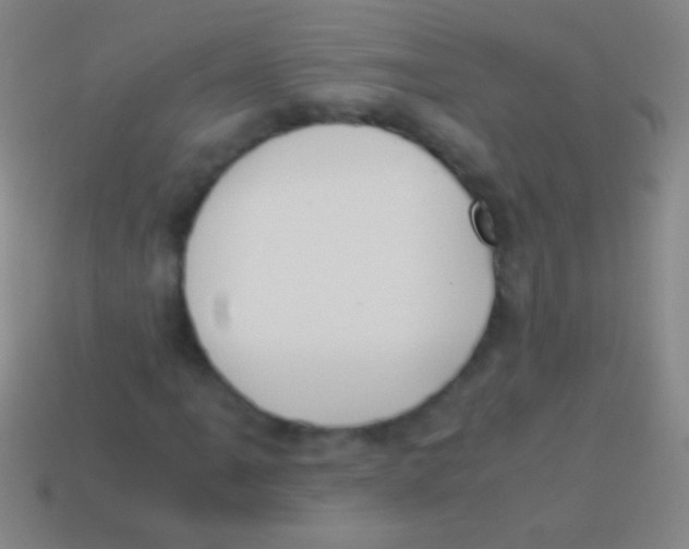 X0000113591061200910161838