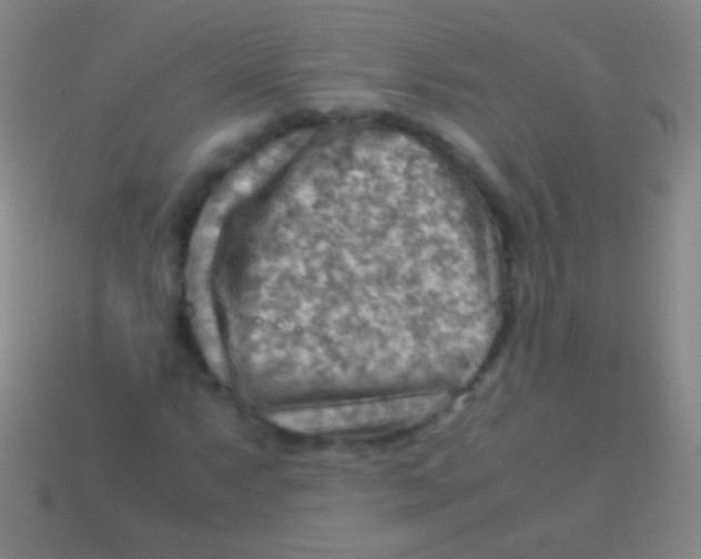 X0000113591063200910161838