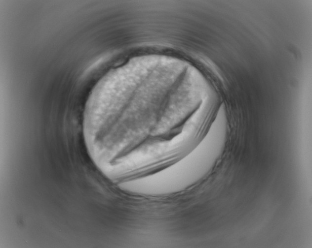 X0000113591064200910161838